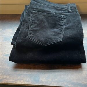 2 pair of Loft black velvet pants